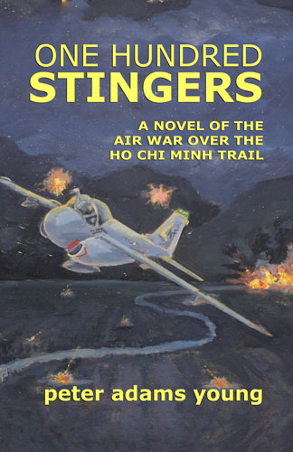 One Hundred Stingers Book Cover
